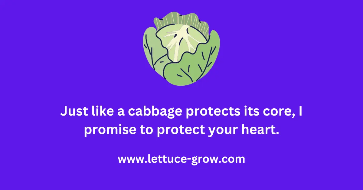 Cabbage Pickup lines