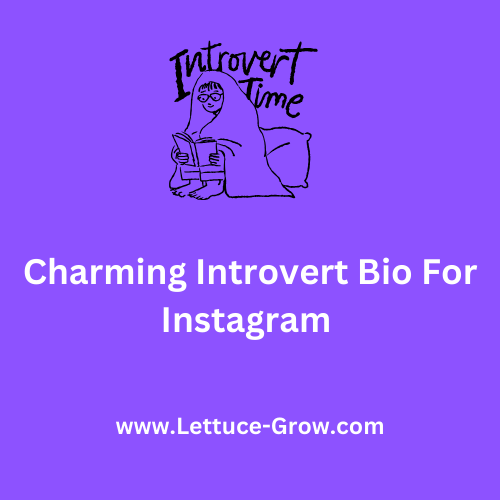 Introvert Captions For Instagram